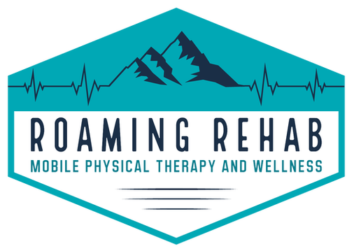 Roaming Rehab: In Home Physical Therapy and Wellness